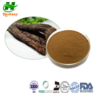 quality Health Supplement Cistanche Tubulosa Extract Powder Cistanche Deserticola Powder factory