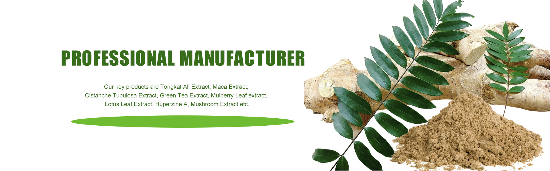 quality Plant Extract Powder factory