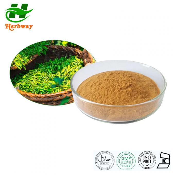 EGCG Green Tea Extract Powder Polyphenols Camellia Sinensis Green Tea ...