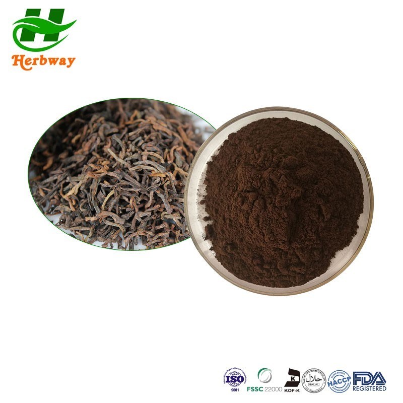 Green Tea Extract Powder Pu Erh Tea Extract Pu'er Tea Instant Powder ...