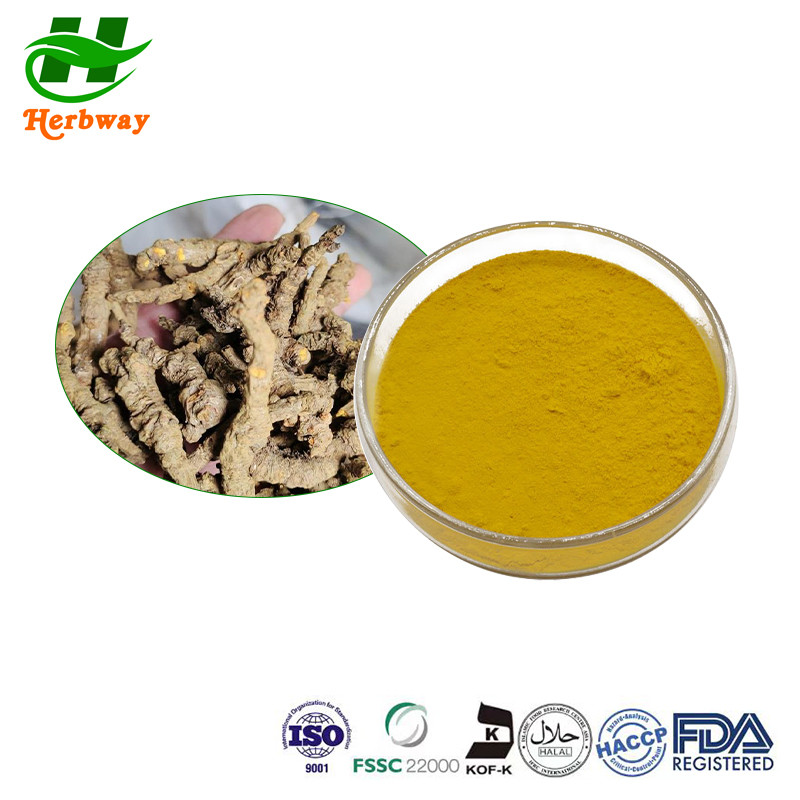Coptis Chinensis Extract Berberine HCl Powder CAS 141433-60-5