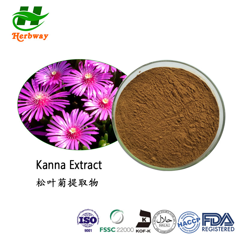 Kanna Extract 200: 1 Kanna Extract Powder Kanna Sceletium Tortuosum Extract