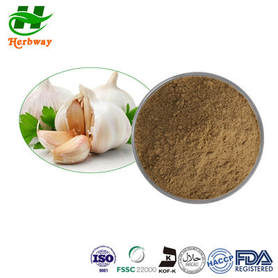 Aliu sativu L. Garlic Extract saupoudrent la poudre fine de 3% Allicin